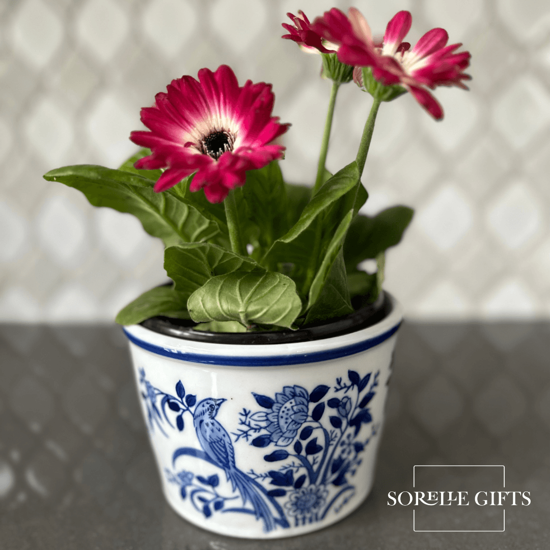 16 oz. Porcelain Chinoiserie Deli Container Holder - Sorelle Gifts