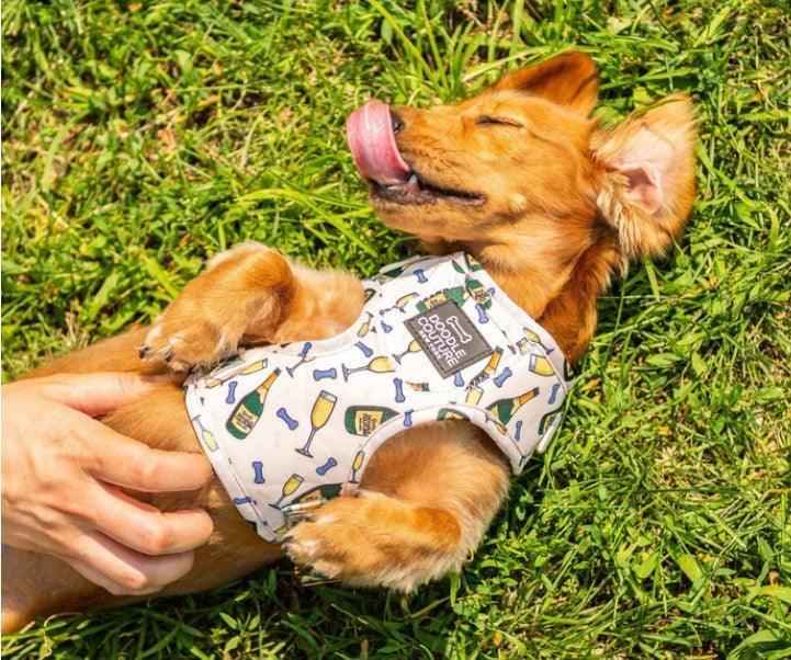 Champs & Treats Pocket Harness