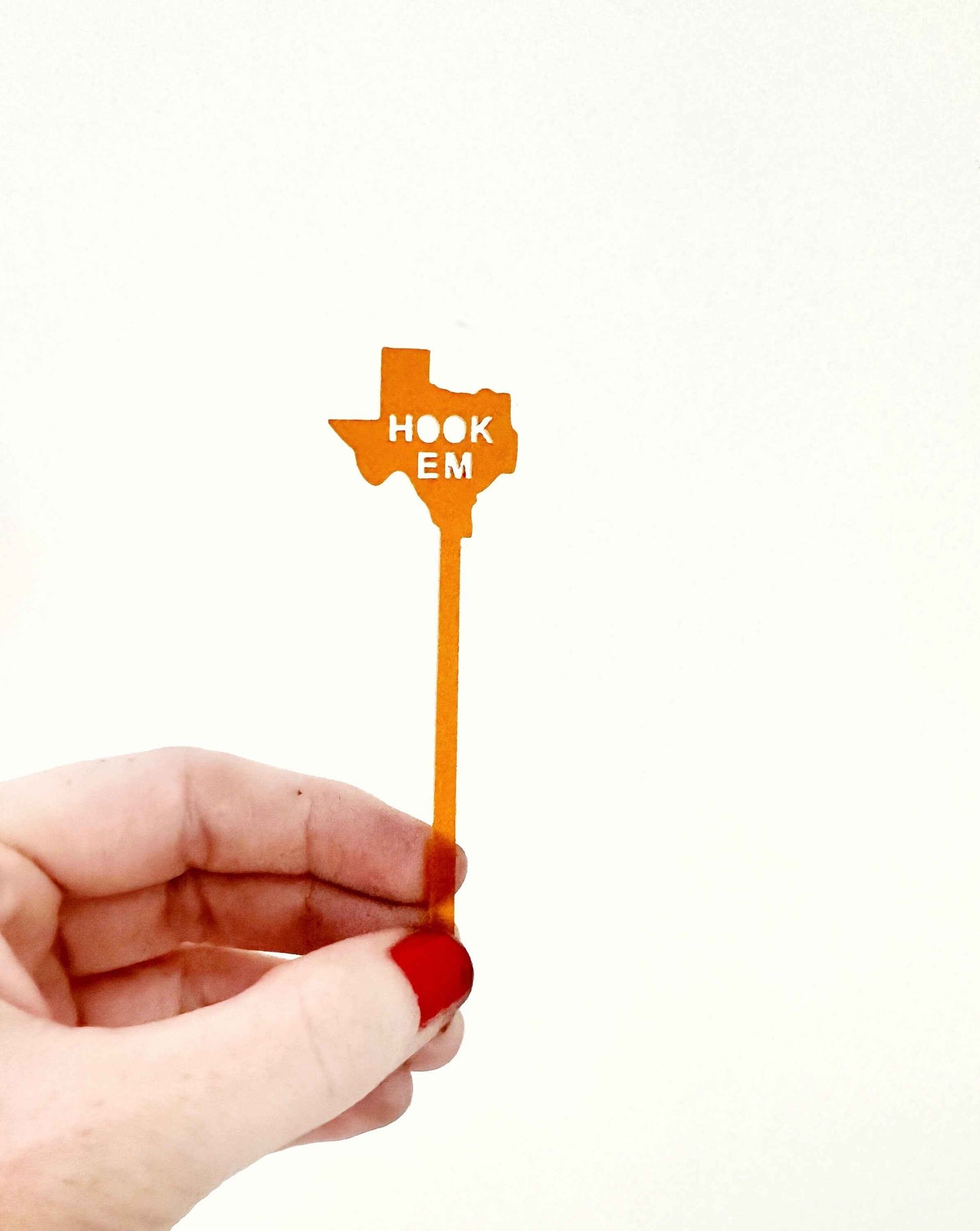 Texas Longhorns Food Pick-Skewer Set
