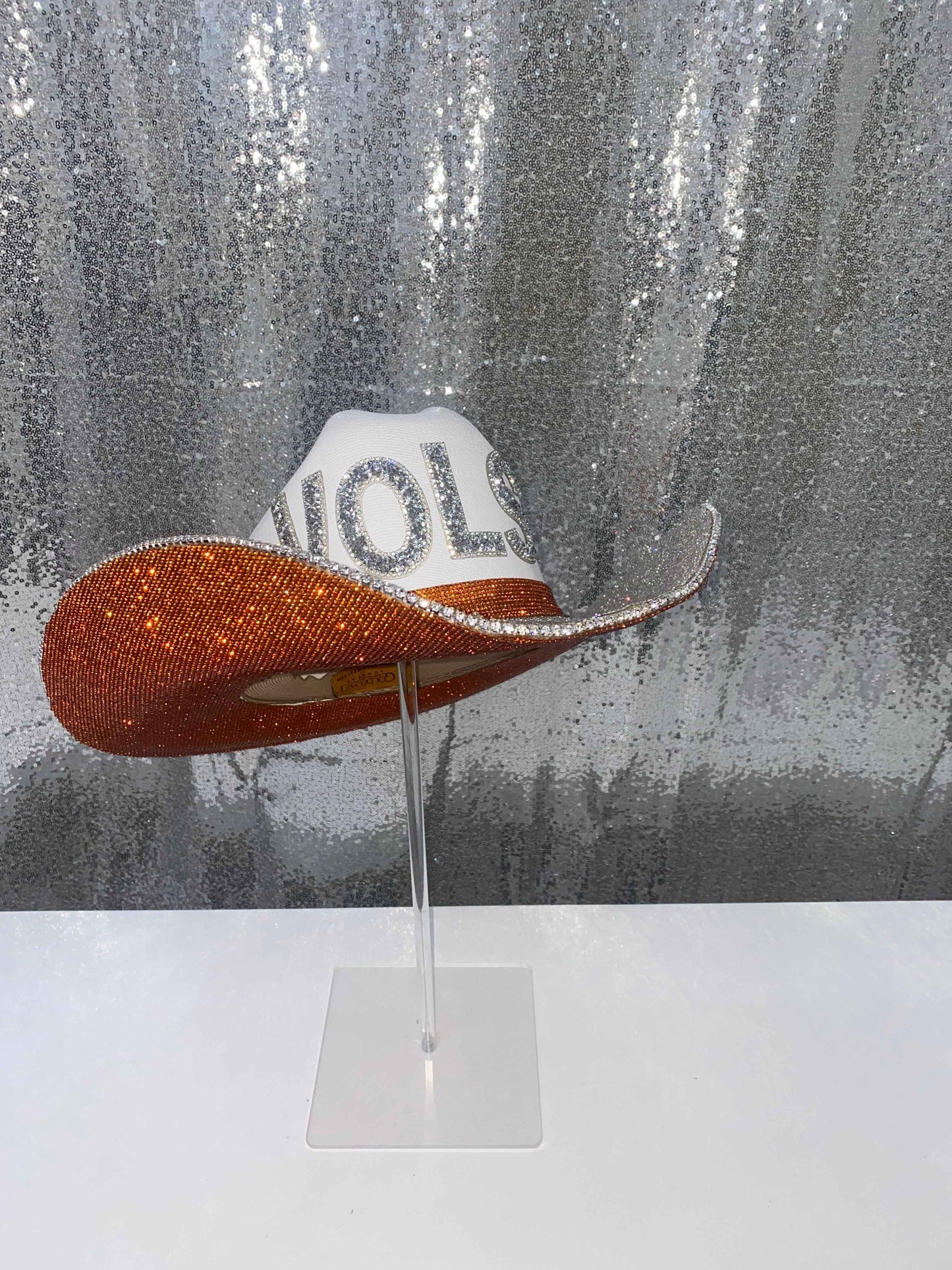 TN VOLS Hat