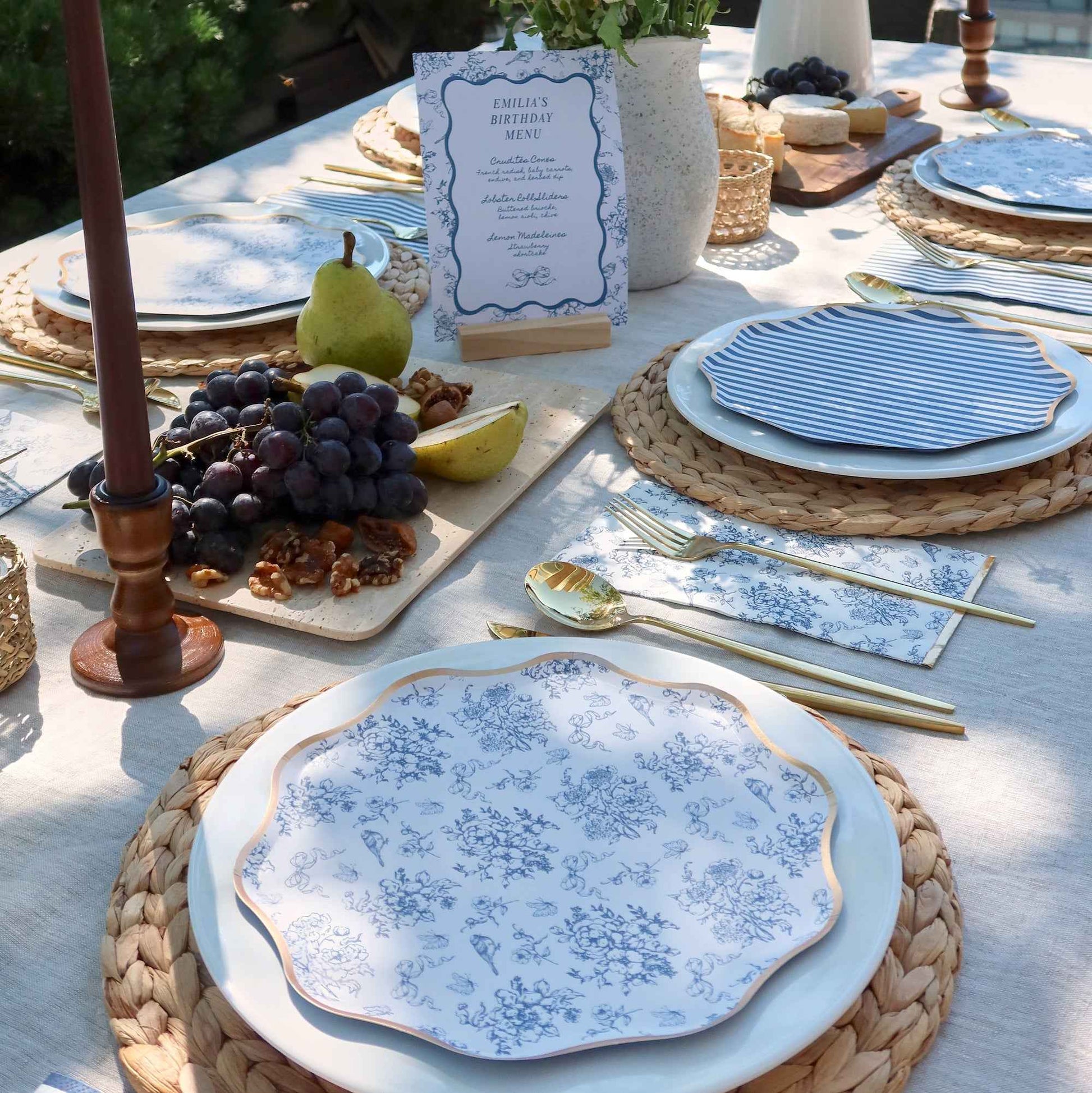 Hamptons Toile & Stripe Dinner Napkins