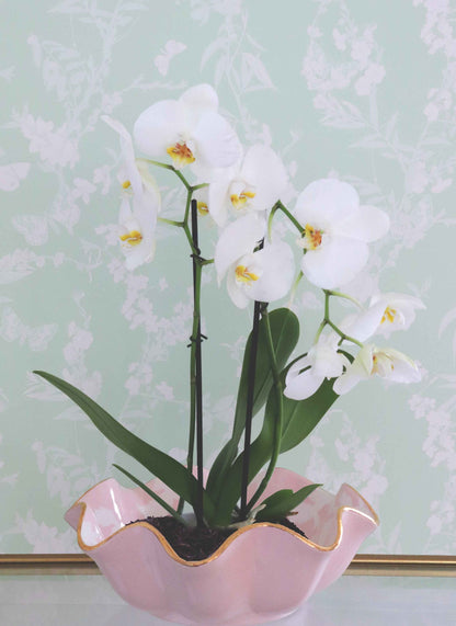 Chinoiserie Dreams Scalloped Bowls with 22K Gold Accent