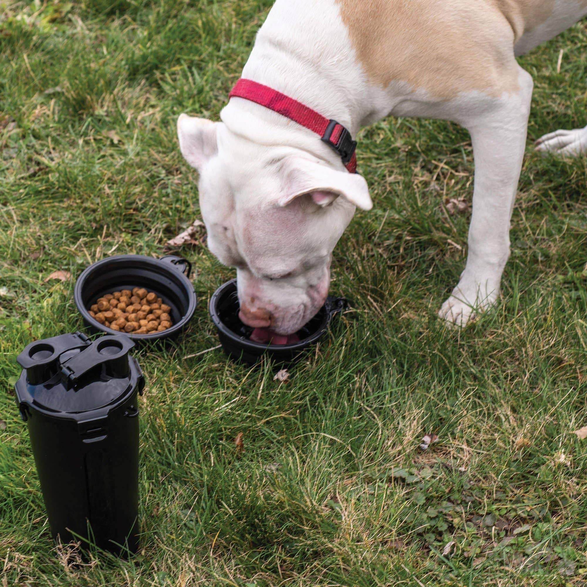 Travel dog food hot sale and water container