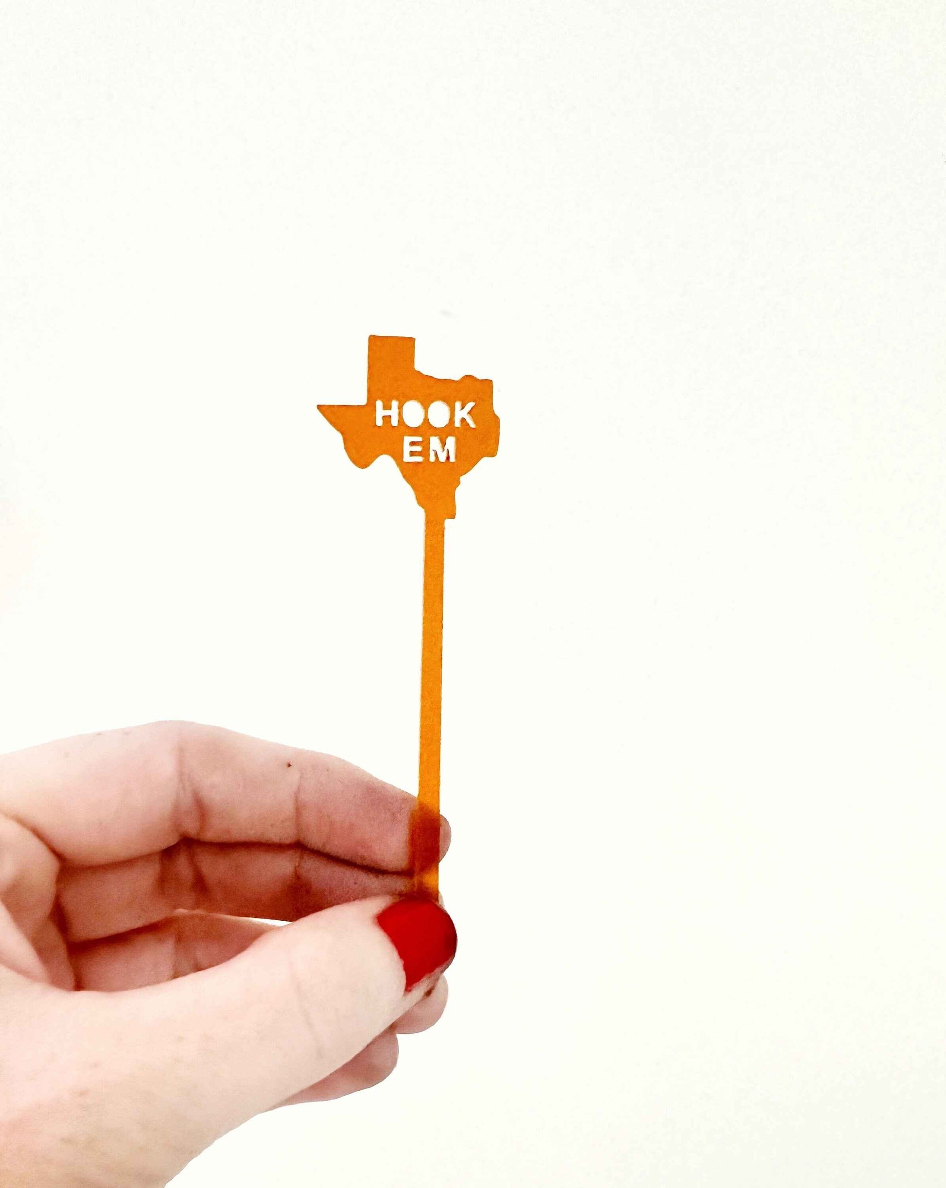 Texas Longhorns Food Pick-Skewer Set