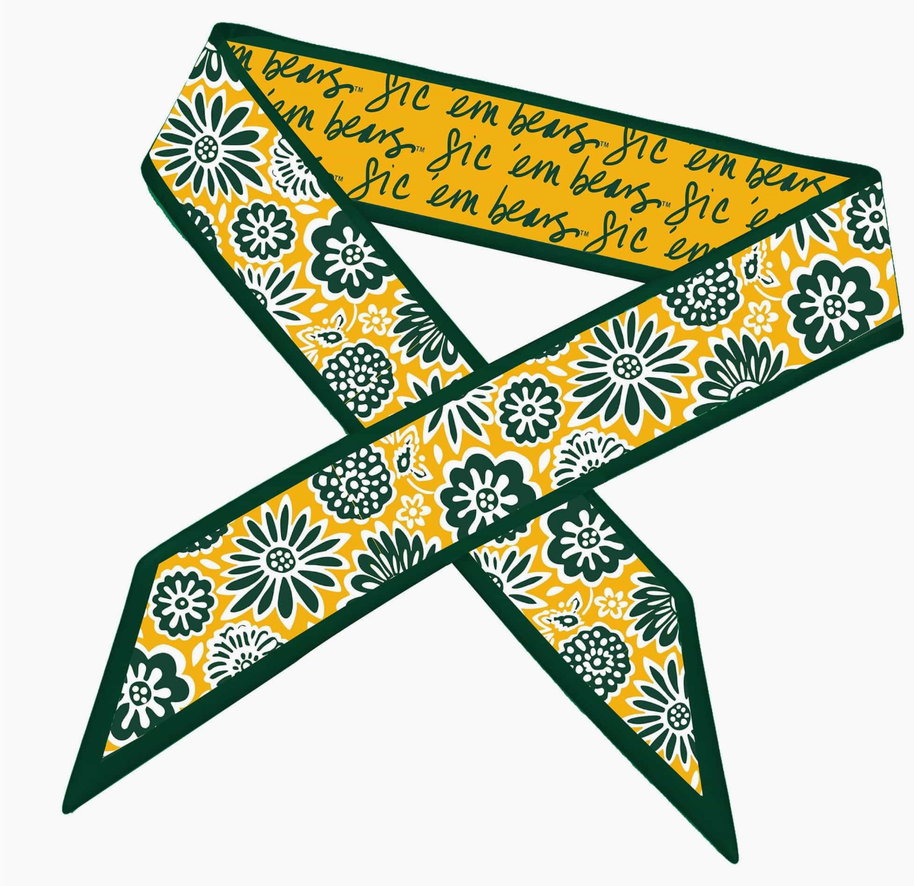 Skinny Scarf – Baylor Bears