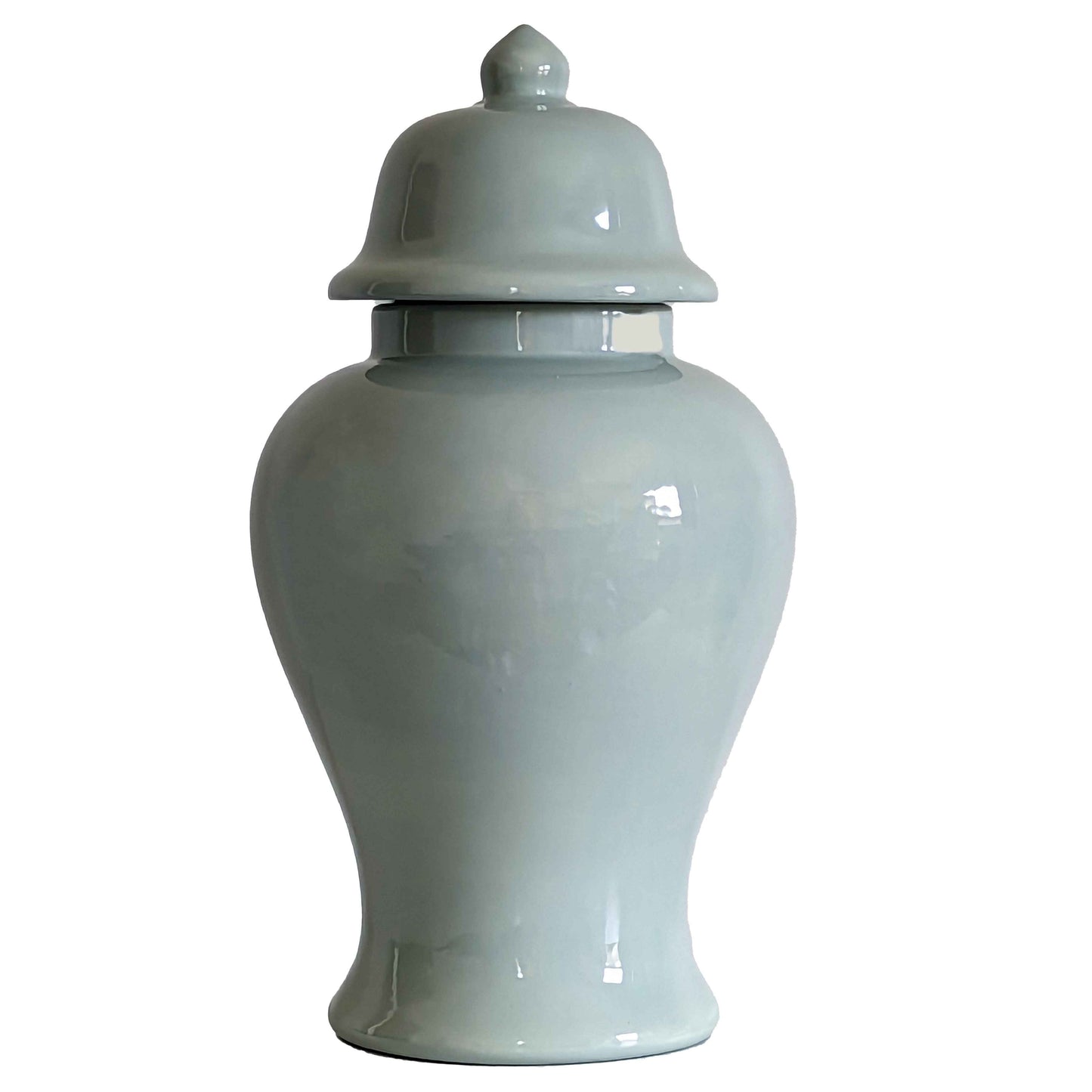 Lamb's Ear Blue Ginger Jars