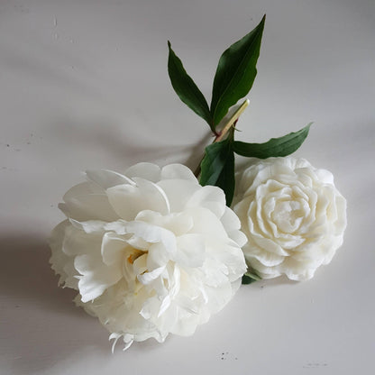 Wax Peony Bloom - Sorelle Gifts